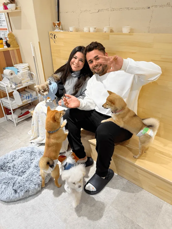 Bruno Delorence at a dog café in Japan, surrounded by dogs