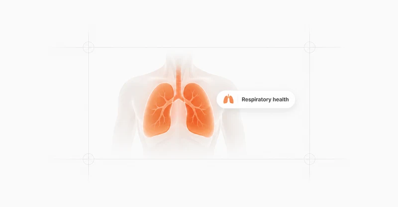 Visual representation of Health sheet