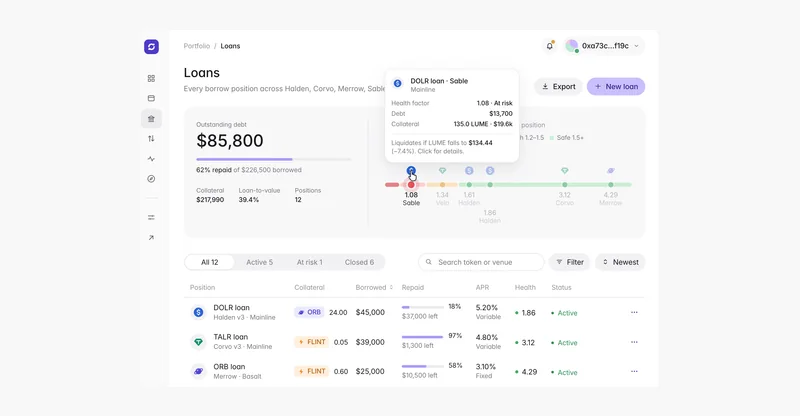 Preview of Loans dashboard